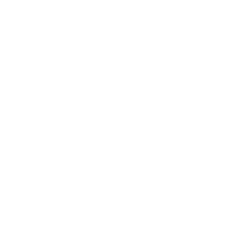 Blitz Winterdienst Logo
